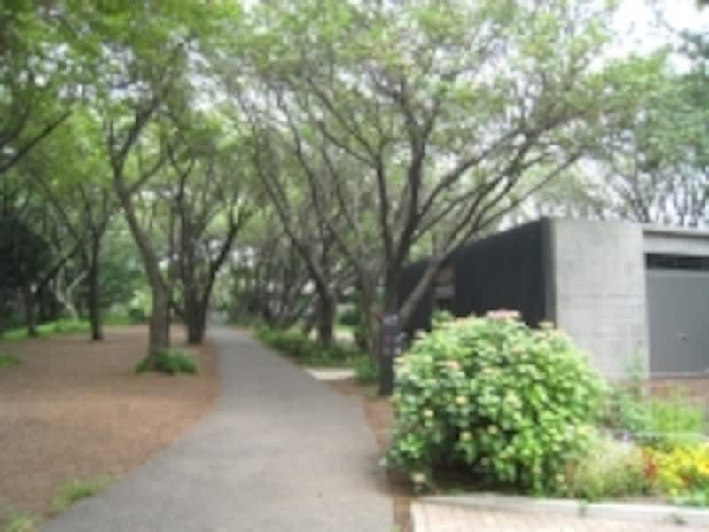 菊名桜山公園