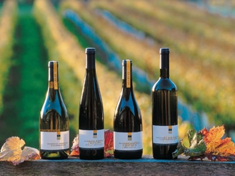 旅行中にお気に入りの一本を見つけたい