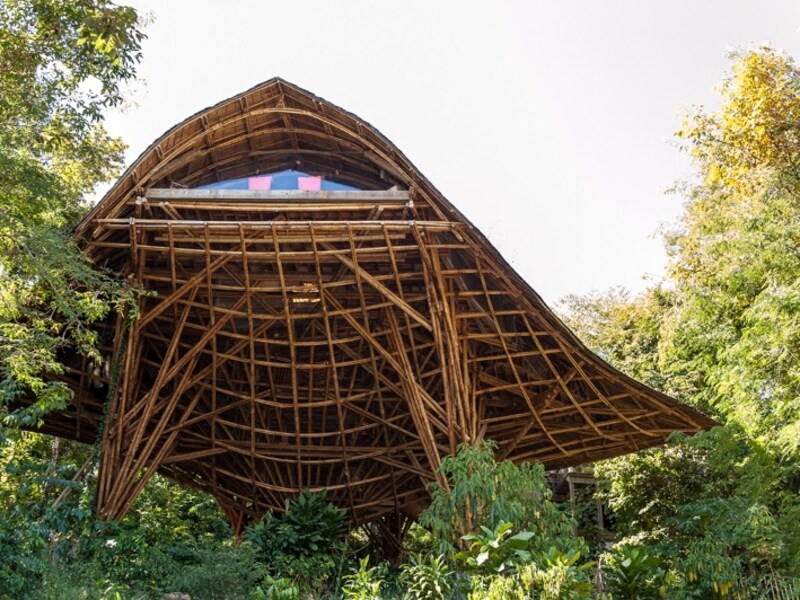 森の中に突然現れた巨大な建物にゲストもびっくり