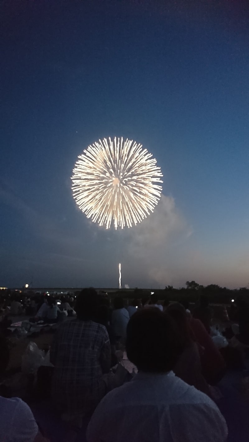長岡花火／白菊
