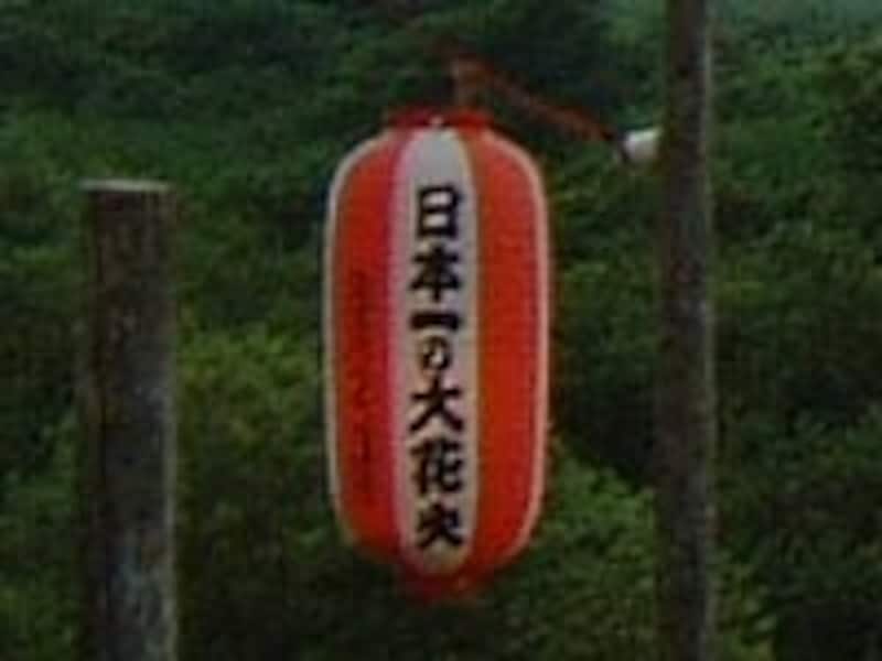 「日本一の大花火」の提灯