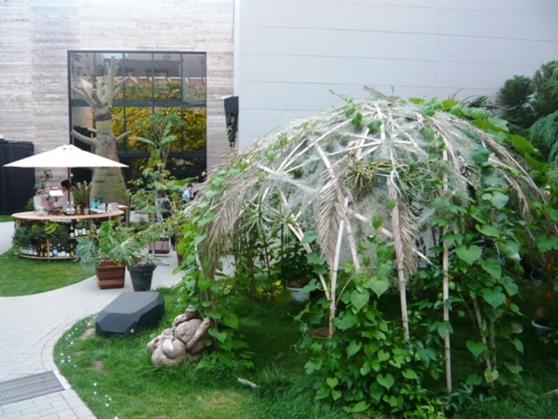 みどりのかまくら