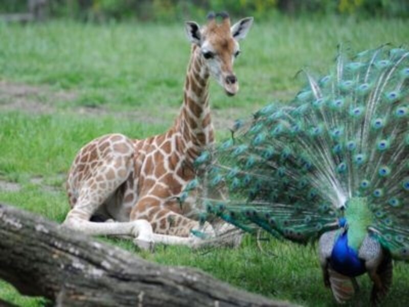 都心からすぐにある癒しのスポット