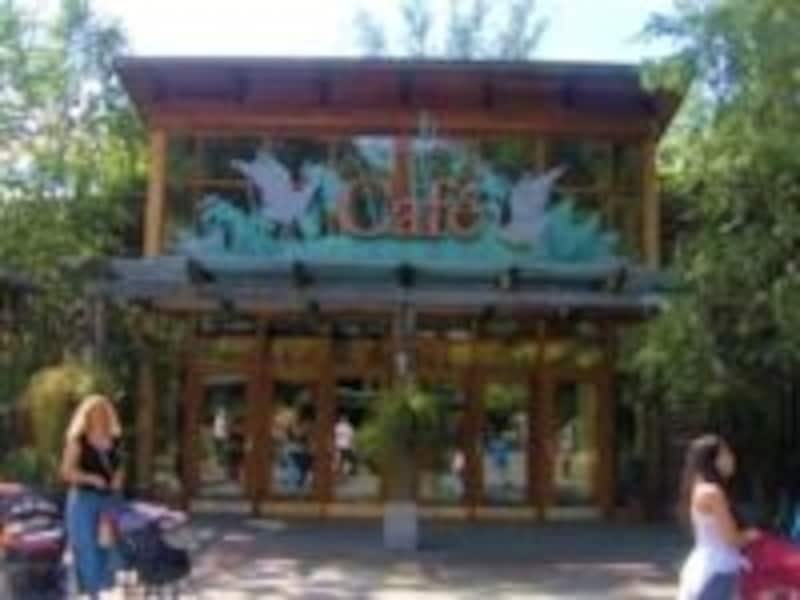 広い園内では、栄養補給が必須