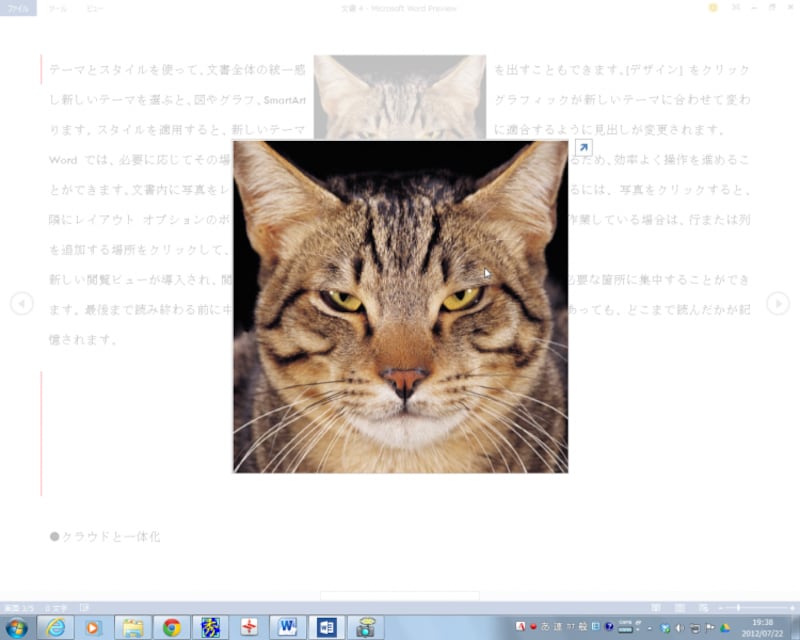 閲覧モードでは、文書中の画像をクリックすると、画像が拡大表示されます。画像右上の矢印をクリックすると、さらに画面全体を使って表示できます。これも、Windows 8のタッチ操作を意識した機能です