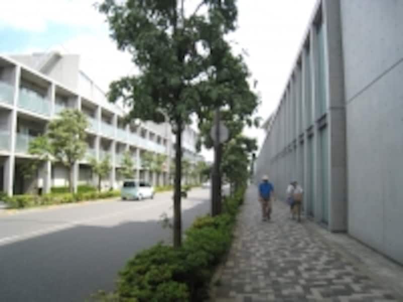 安藤忠雄ストリート