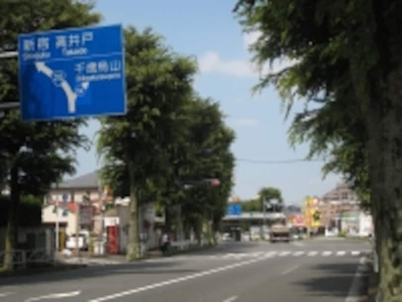 甲州街道