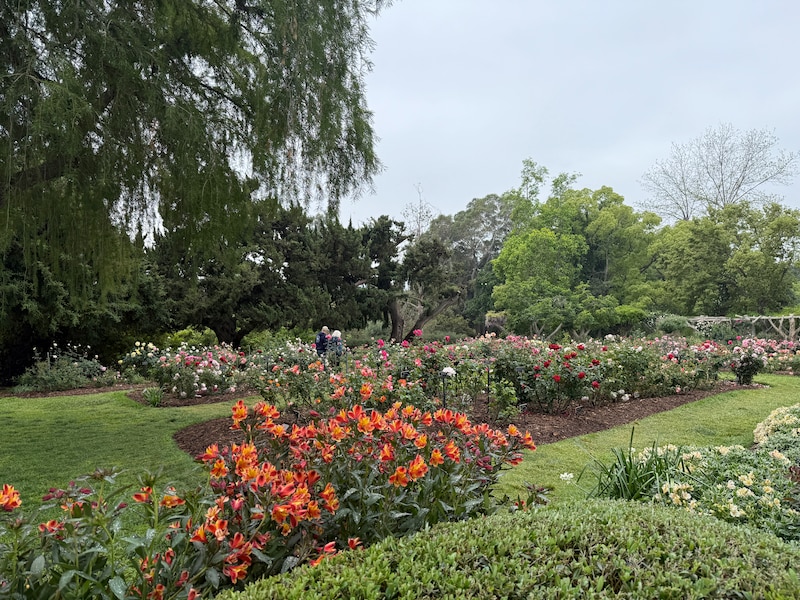 図書館、ガーデン、美術館が全てが素晴らしい施設!