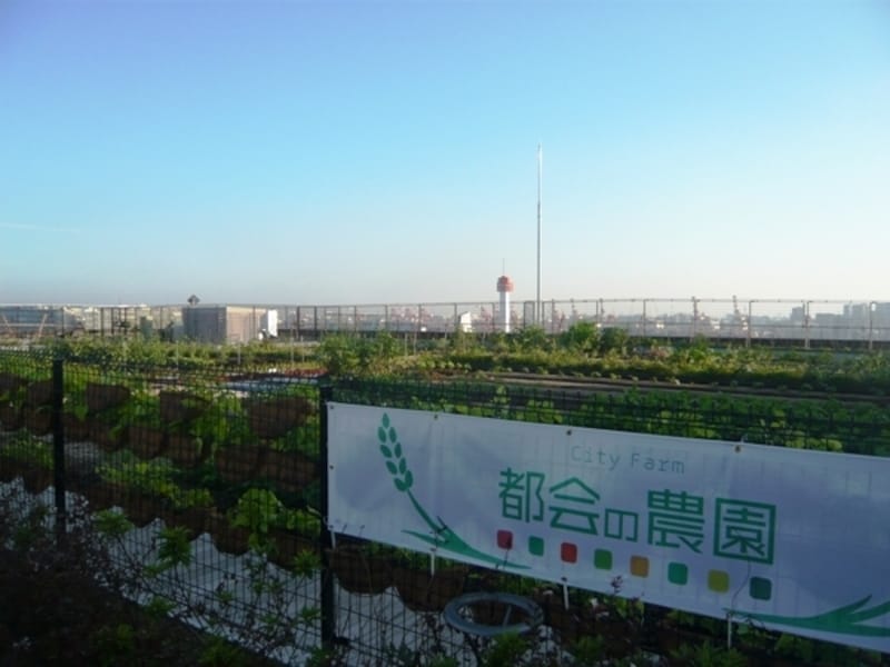 農園の向こうに広がる東京ベイエリア