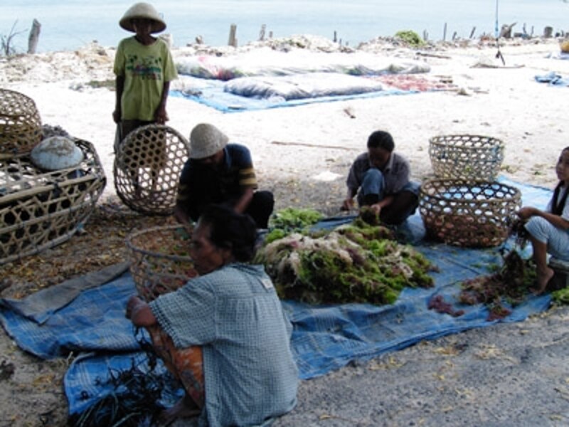 ヌサ・レンボンガン3