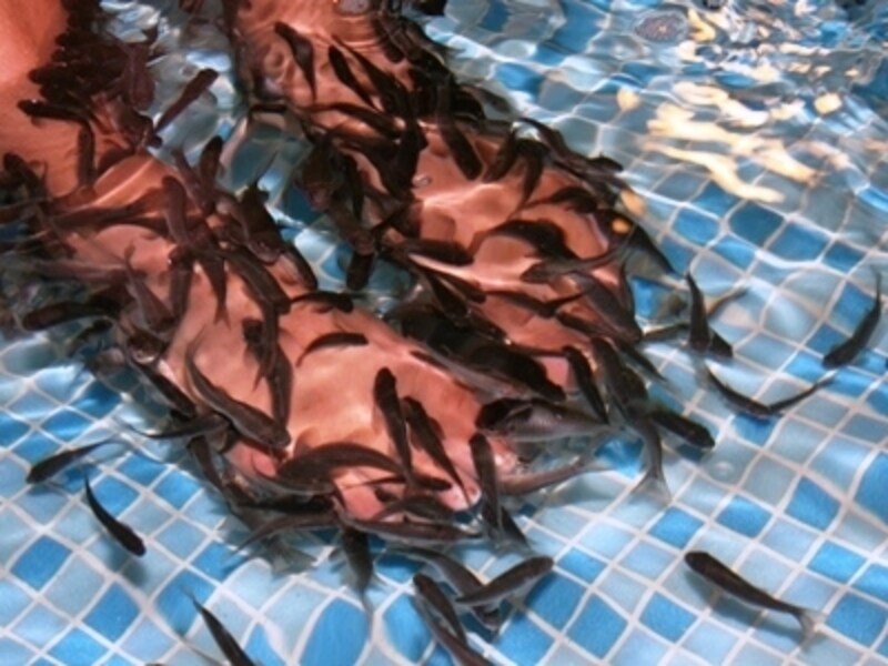 店名を言えばタクシーの運転手さんもわかるほど地元では有名