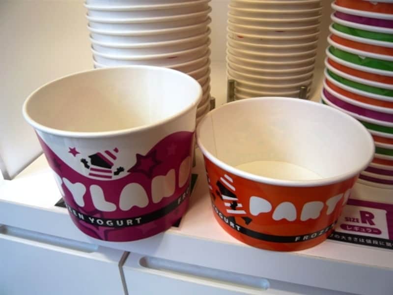 カップのサイズ