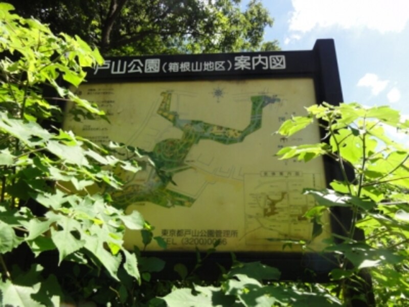 この変速的な地形が散歩者にはおもしろい。