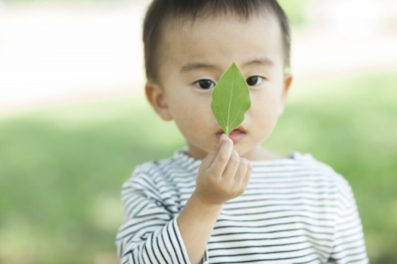 「落ち着きがない」は、裏を返せば「好奇心が強い」ということ