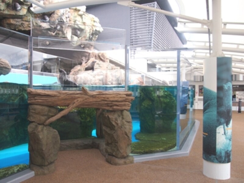 かいじゅうゾーン