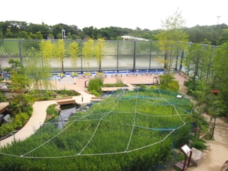 京の里山ゾーン