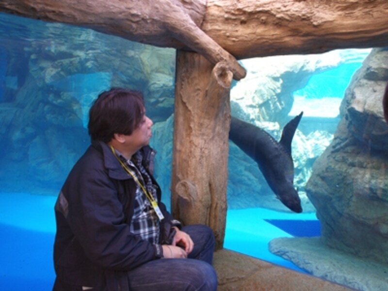 かいじゅうゾーン