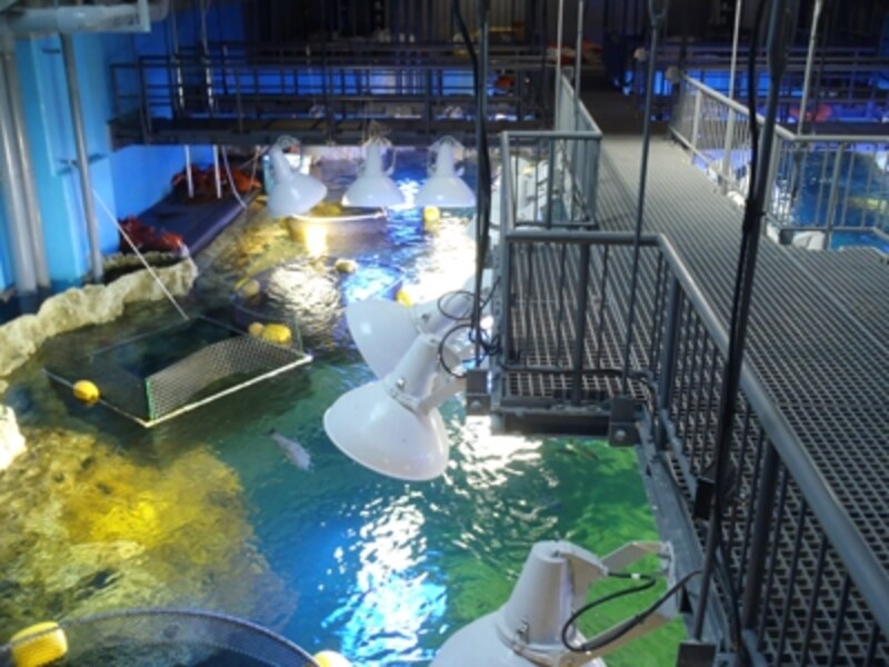 バックヤードツアー