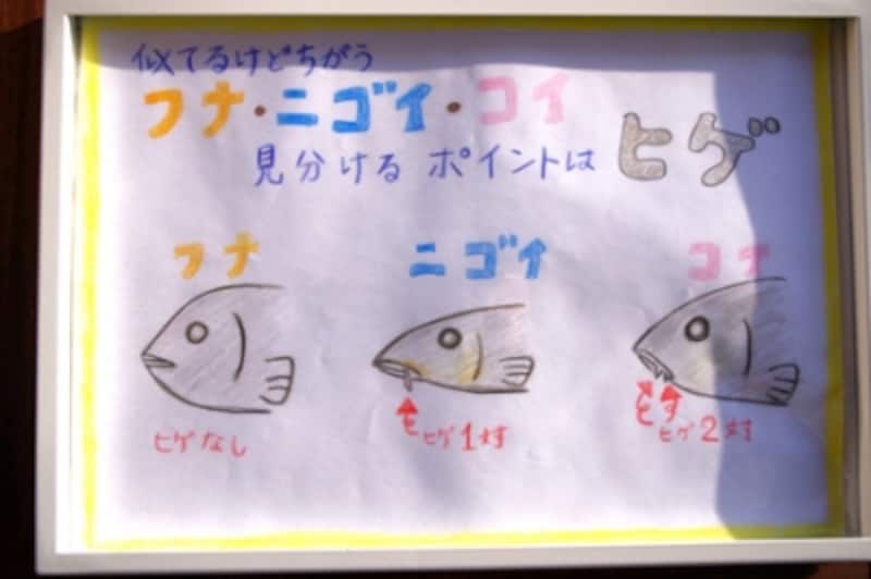 京の里山ゾーン