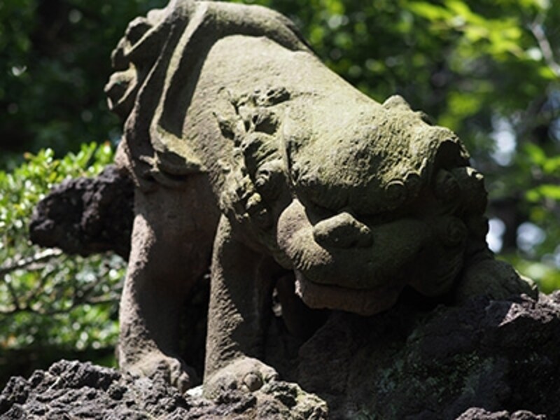 OM-D E-M5 実写画像06