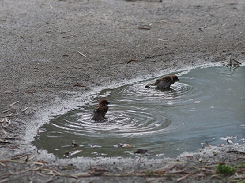 OM-D E-M5 実写画像07