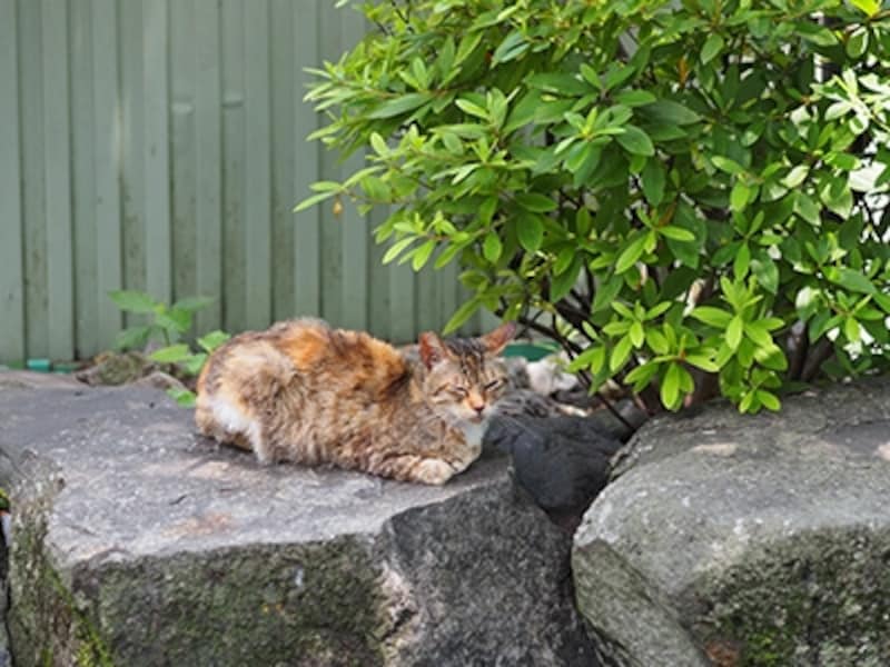 OM-D E-M5 実写画像09