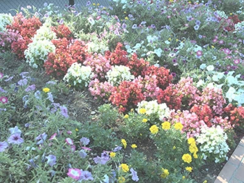 OM-D E-M5 実写画像アートフィルター デイドリーム1