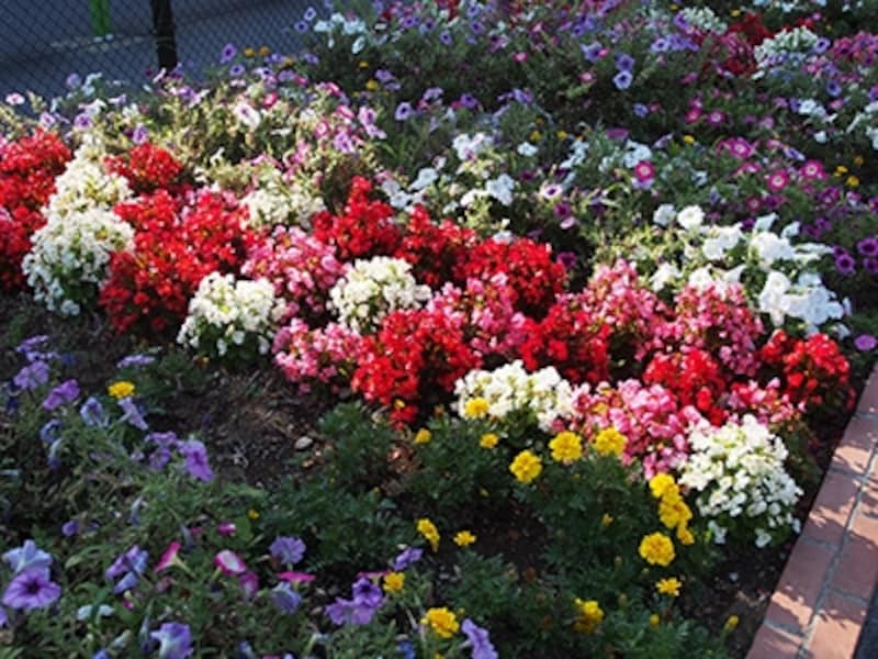 OM-D E-M5 実写画像ピクチャーモード i-FINISH