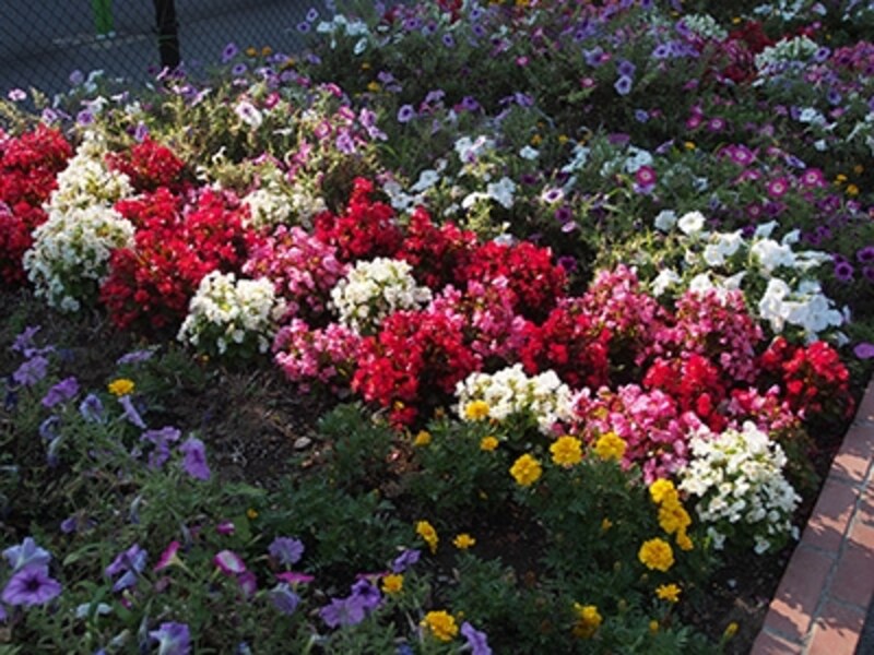 OM-D E-M5 実写画像ピクチャーモード Flat