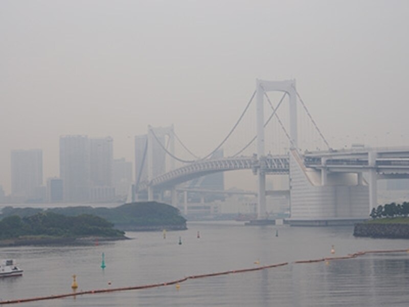 OM-D E-M5 実写画像 テレ端