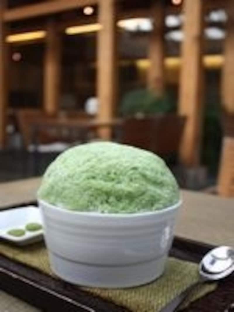 夏に大人気のノクチャビンス。暑い日にはカキ氷の冷たさが嬉しい!(C)Teastory of Beautiful Tea Museum