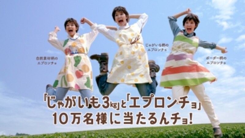 「北海道じゃがいも3kg」と「選べる3種のエプロンチョ」が当たる「カルビーSMILE大収穫祭2012」