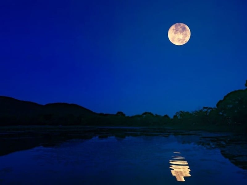 平安貴族は池に映る月を鑑賞していました