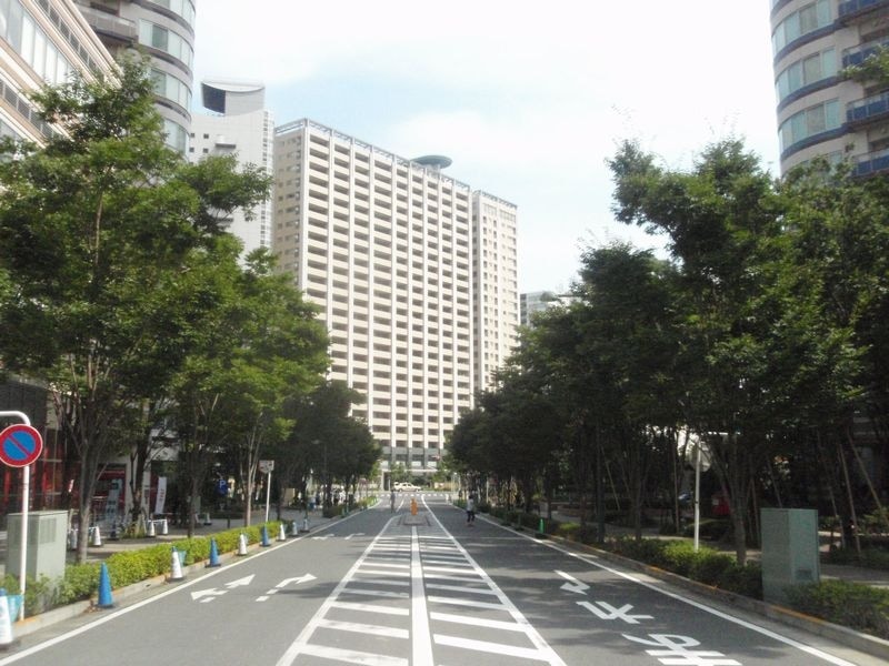 既に完成しているパークシティ武蔵小杉ミッドスカイタワーとステーションフォレストタワーの間の遊歩道