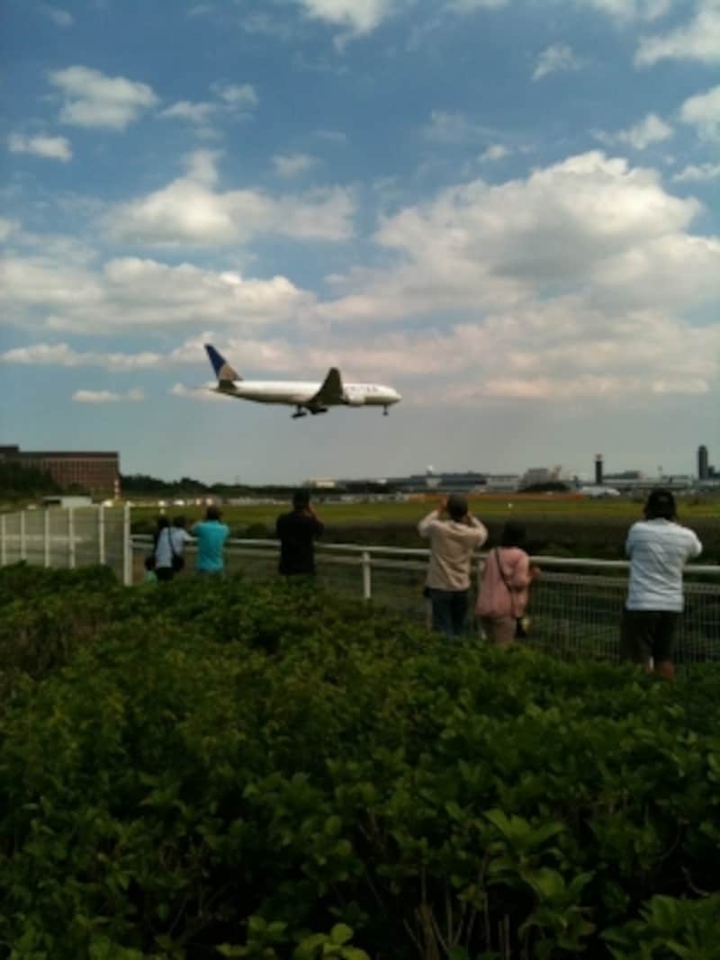飛行機と電車を満喫 成田 さくらの山公園 千葉の観光 旅行 All About