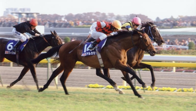 衝撃の激安コスパ・掘り出し物も 競馬 GIのレース名が入った大昔の激湯のみ （競馬を始めたら必ず マグカップ・食器