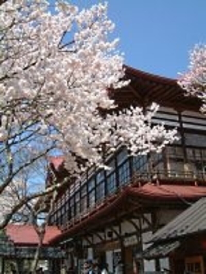 昭和初期の建物である高遠閣と桜のコラボレーション（2005年4月17日撮影） 