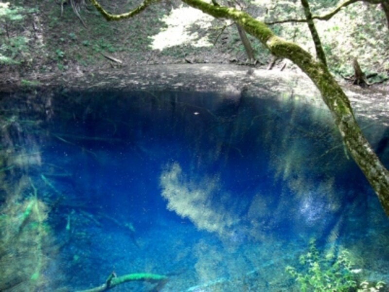 世界自然遺産白神山地に隣接…青森 十二湖の青池 [青森の観光・旅行] All About