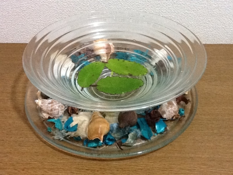 ブルーのポプリと貝殻を飾って、沖縄の海辺をイメージ