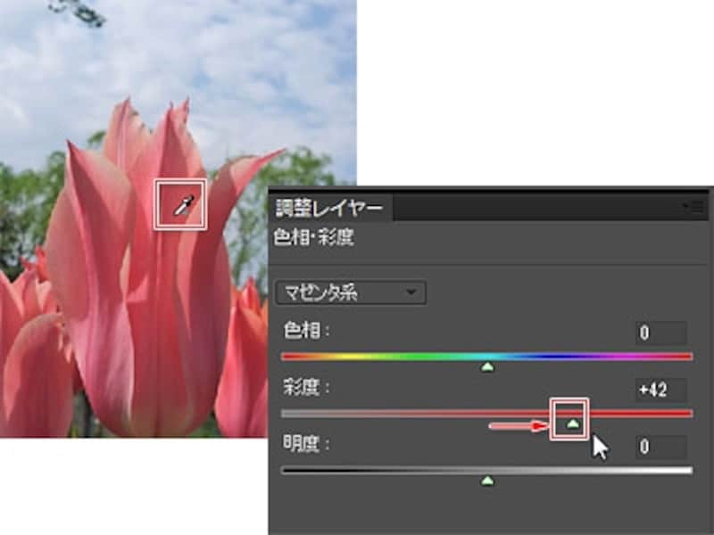 花の部分をスポイト型ポインタで軽くドラッグし、彩度を強める