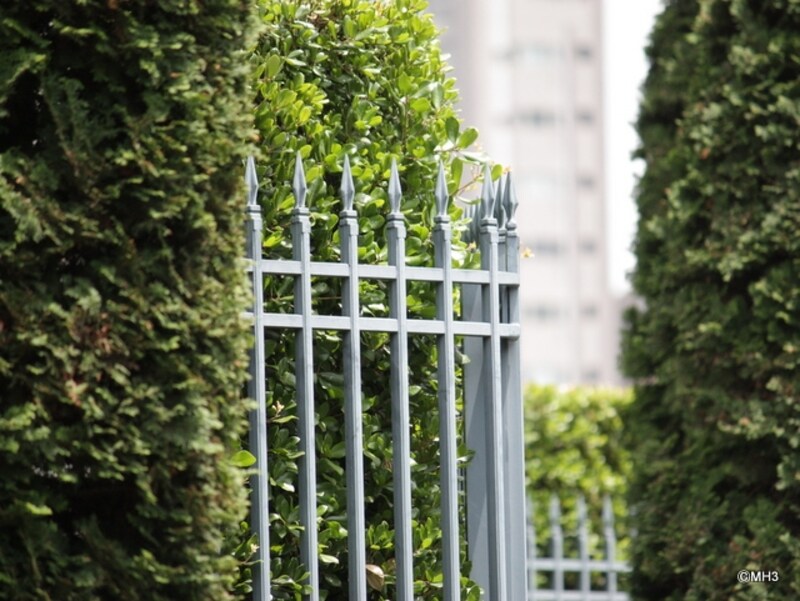 イメージフォト