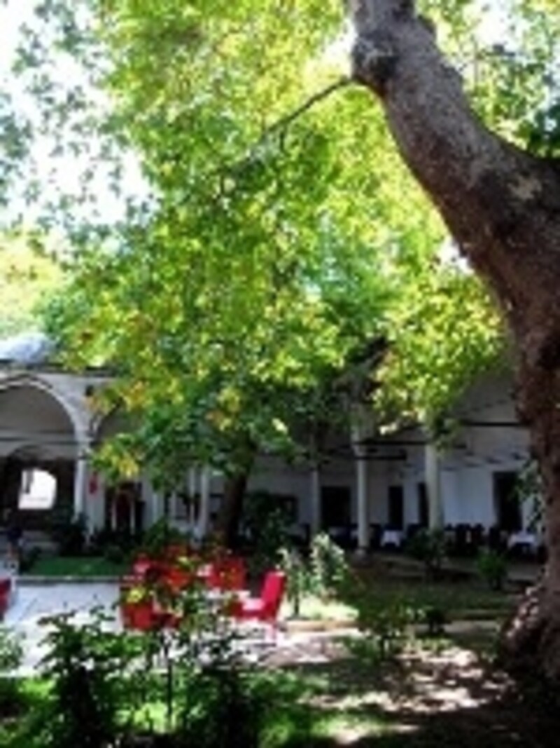 ダッリュージヤーフェ