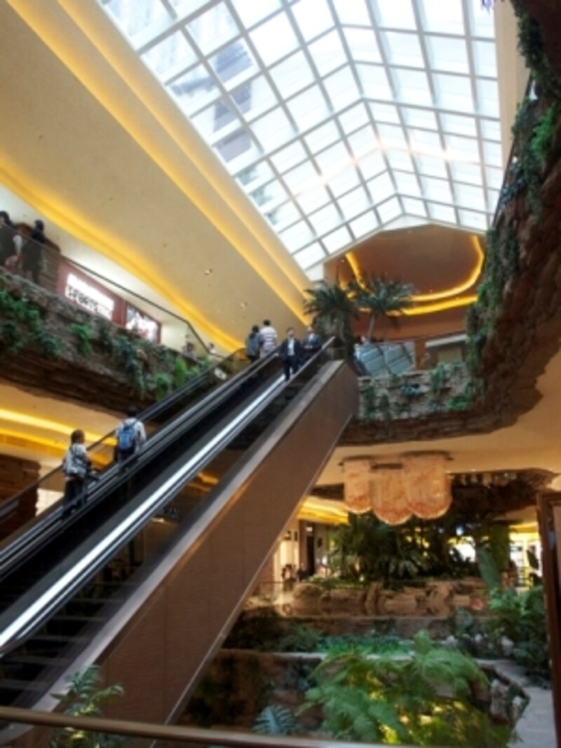 自然光が降り注ぎ、開放的で明るい雰囲気のモール