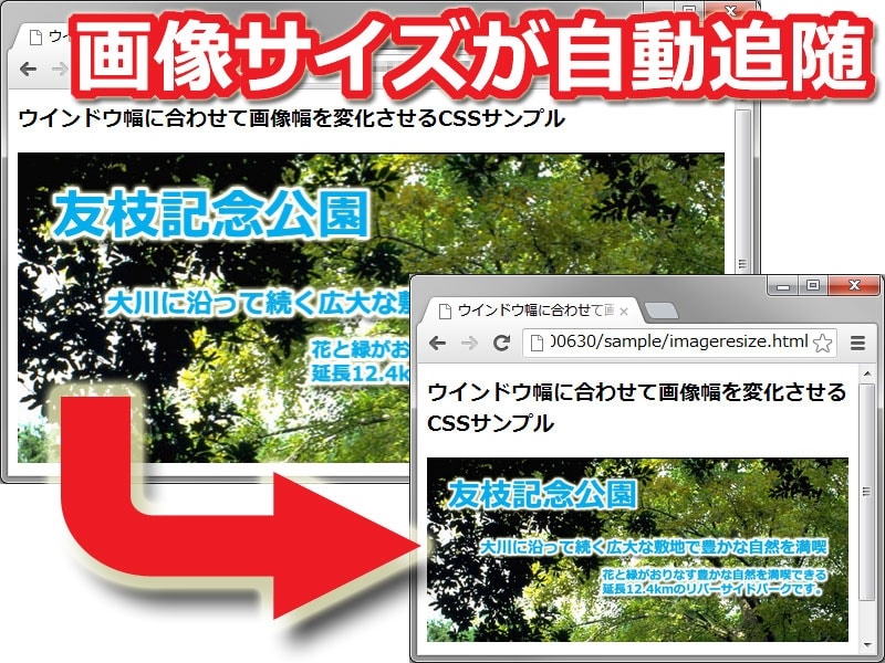 画像サイズがウインドウサイズに自動追随