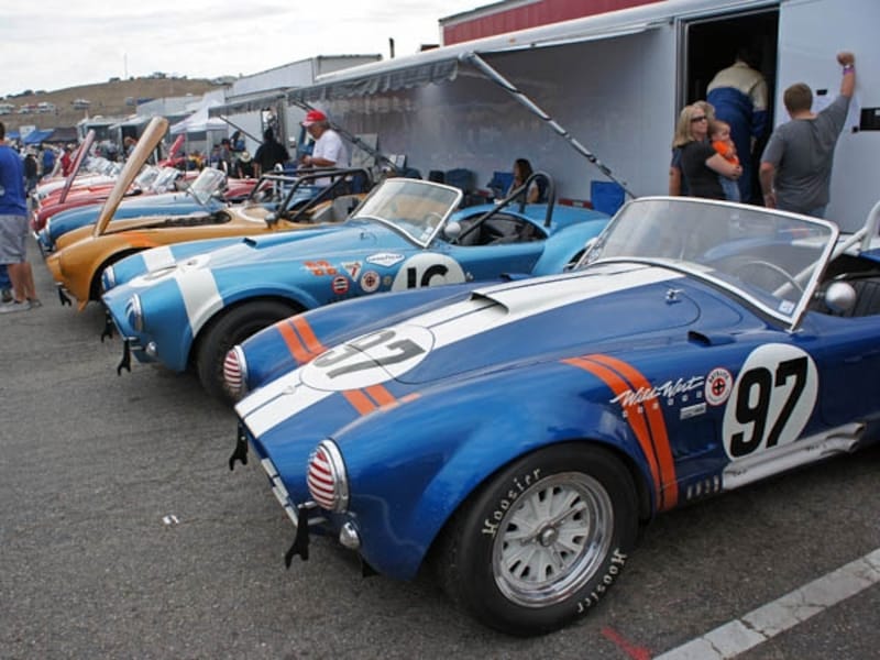 シェルビーコブラたち