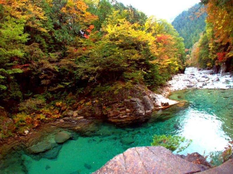 阿寺渓谷の紅葉
