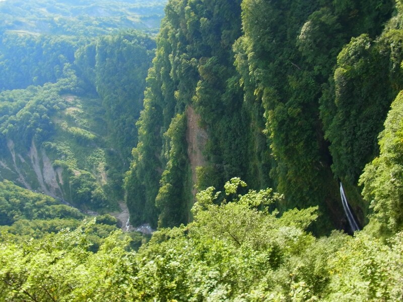 山崎旅館