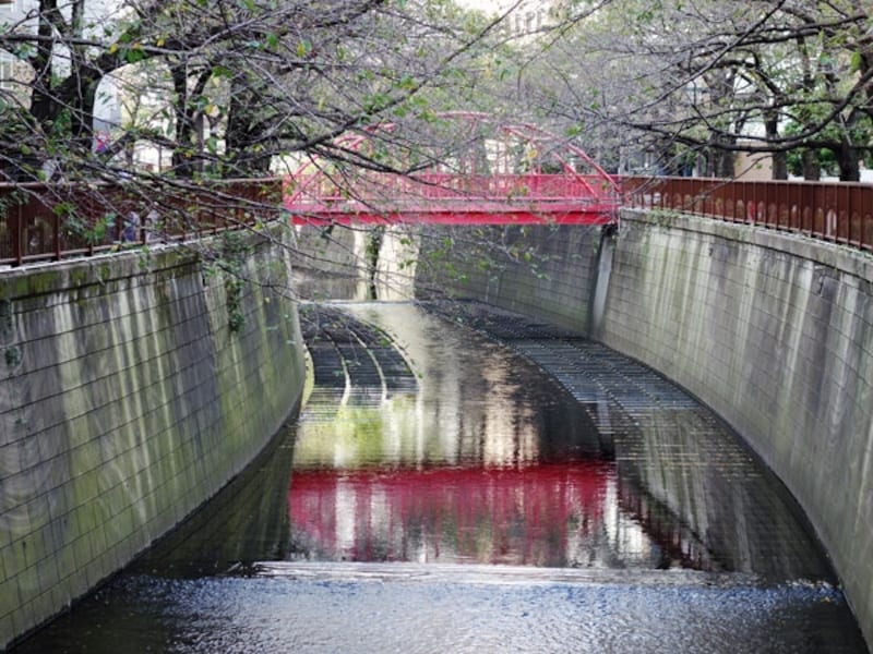 目黒川