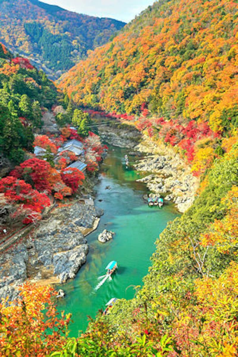 嵐山公園から望む紅葉と保津川下り