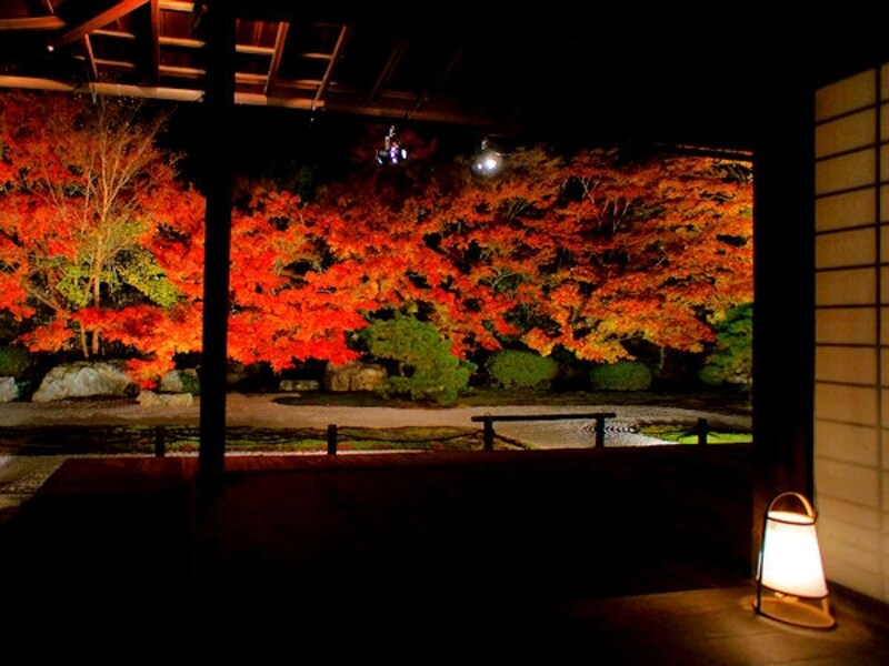 天授庵の紅葉ライトアップ